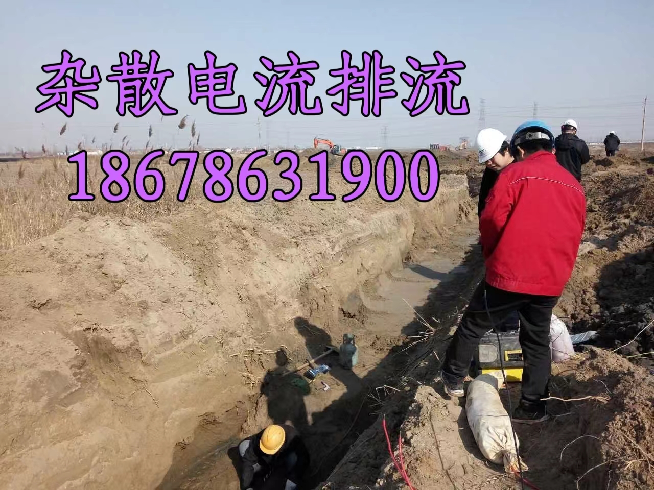 微信圖片_20240326161409.jpg
